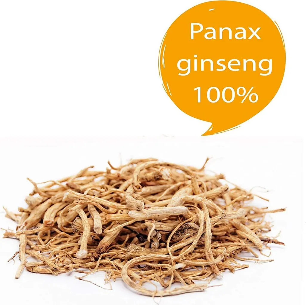 Panax Ginseng Wurzel Ganz 100G 4 Panax Ginseng Wurzel Ganz 100G – Bild 2