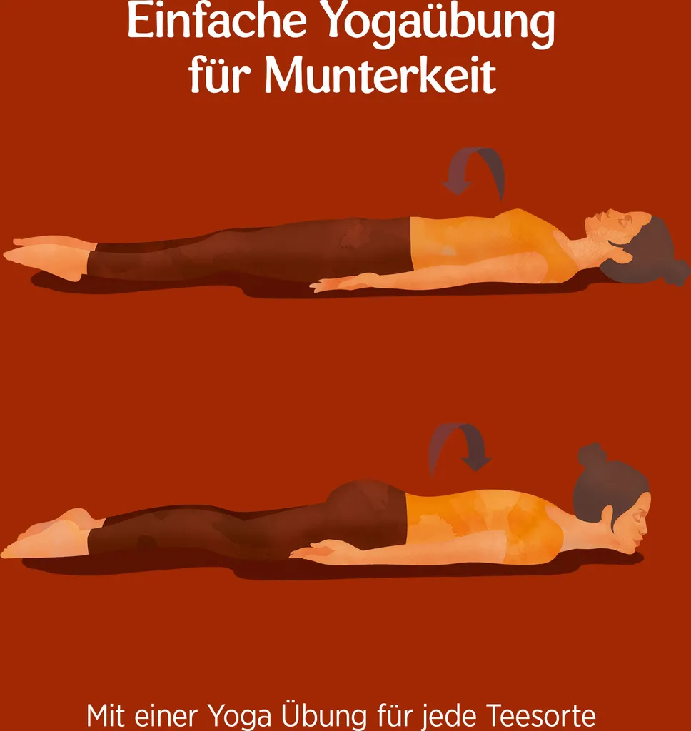 10 X BIO YOGI TEA Lakritz | 10 X 30,6g 6 10 X BIO YOGI TEA Lakritz | 10 X 30,6g – Bild 4