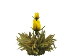 Creano Teeblumen Mix 18er ErblühTee Weißer Tee In Edeler Magnetbox Mit Sichtfenster & Silberprägung -Drink World Store 14d14d5464696029666882531eb95f5a