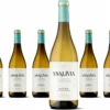 6 X Analivia Verdejo Selección -Drink World Store 19b884f3d5e0e108d1e187cdc5ec14db