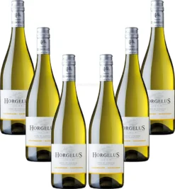 Horgelus Colombard Sauvignon - 6er Set Weißwein 0,75L (11,5% Vol) - Côtes De Gascogne Frankreich- [Enthält Sulfite]