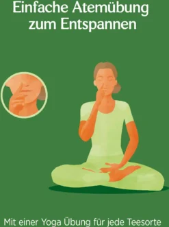 Yogi Tea Tulsi Gelassenheit Gewürztee 17 Stk -Drink World Store 45dee45c014a668521e82aadaa51895d