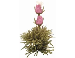 Creano Teeblumen Mix 18er ErblühTee Weißer Tee In Edeler Magnetbox Mit Sichtfenster & Silberprägung -Drink World Store 47a63bfb21d6593a640fe687956d5141