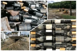 Riesling | 2015 | Flutwein | Marc Josten | Ahrtal | 1 X 0,75l -Drink World Store 506354b625b45d847b3bf1050ad91e32