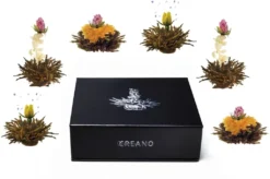 Magnetbox 6er ErblühTee Schwarzer Tee -Drink World Store 708eb6246a35da17530d9d179ca31852