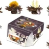 Creano Teeblumen Variation Im Tassenformat Erblühteelini - 8 Teeblüten In 4 Verschiedenen Sorten (Schwarzer Tee) -Drink World Store 77a8075167524d3797bf095bece44c4a