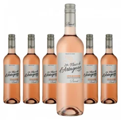 6 X Plaimont Fleur De D´Artagnan Rosé Producteurs Plaimont Côtes De Gascogne