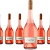 6 X Félix Solís The Guv’nor Rosé -Drink World Store 8751c1cf2de528e45c6f32fdba2c5519