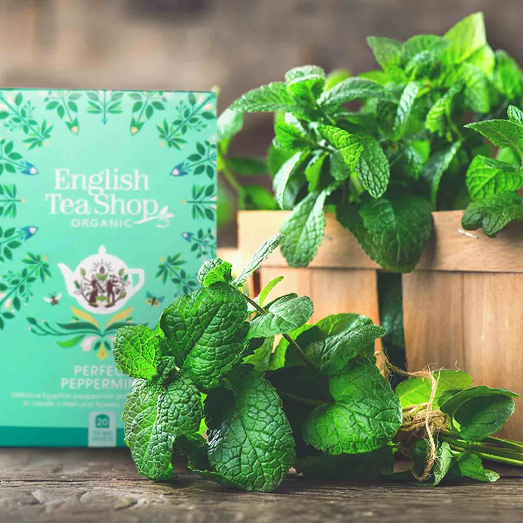 ETS - Perfect Peppermint Minztee, BIO Fairtrade, 20 Teebeutel 4 ETS - Perfect Peppermint Minztee, BIO Fairtrade, 20 Teebeutel – Bild 2