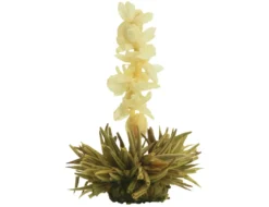 Creano Teeblumen Mix 18er ErblühTee Weißer Tee In Edeler Magnetbox Mit Sichtfenster & Silberprägung -Drink World Store b48764625ed33ecafc0c5870911fe244