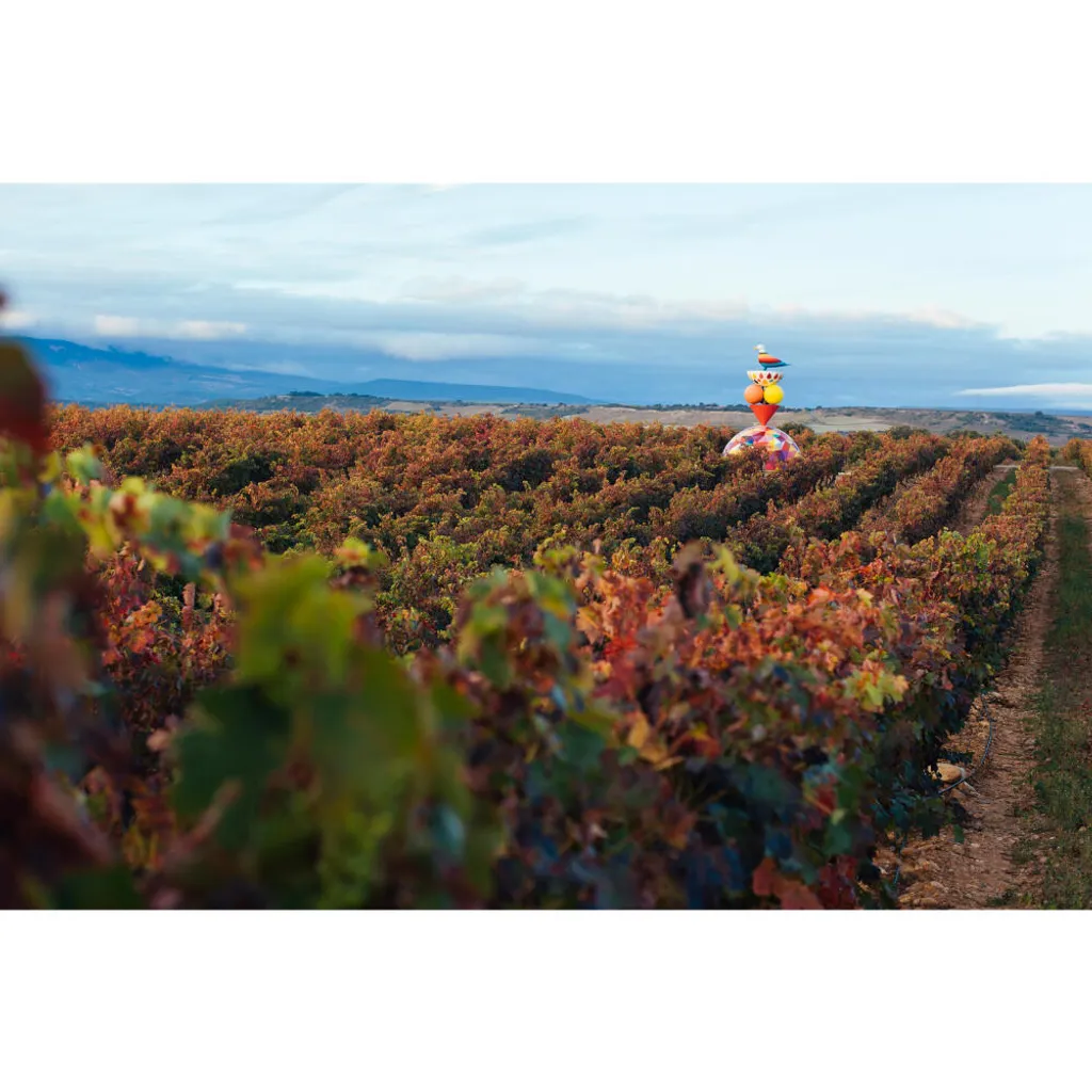 Campo Viejo Rioja Tempranillo Trocken | 13 % Vol | 0,75 L 9 Campo Viejo Rioja Tempranillo Trocken | 13 % Vol | 0,75 L – Bild 7