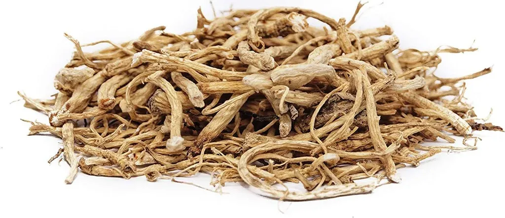 Panax Ginseng Wurzel Ganz 100G 5 Panax Ginseng Wurzel Ganz 100G – Bild 3