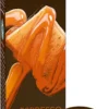 Tchibo Cafissimo Flavoured Edition Espresso Caramel, 10 Kapseln -Drink World Store e50255c7ed1291dec31246a278eb897f