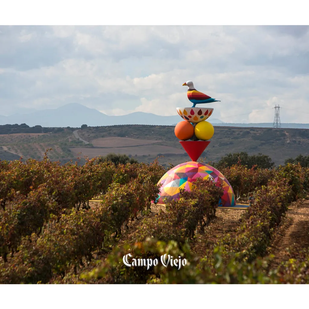 Campo Viejo Rioja Tempranillo Trocken | 13 % Vol | 0,75 L 8 Campo Viejo Rioja Tempranillo Trocken | 13 % Vol | 0,75 L – Bild 6