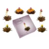 Creano 6 Teeblumen Erblühtee In Edler Geschenkbox Zum Probieren - Schwarztee (3 Verschiedene Sorten Teerosen) 2 Creano 6 Teeblumen Erblühtee In Edler Geschenkbox Zum Probieren - Schwarztee (3 Verschiedene Sorten Teerosen) -Drink World Store fa8fc01436d68d761a012c5f849d9964