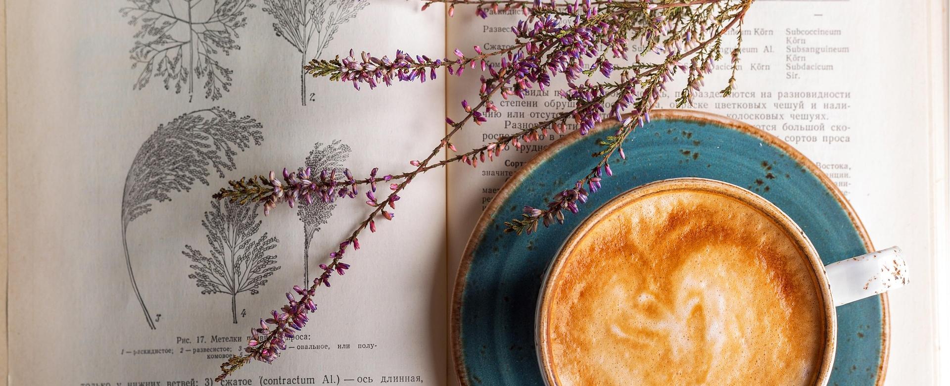 Drink World Store -Drink World Store coffee 2151200 1920