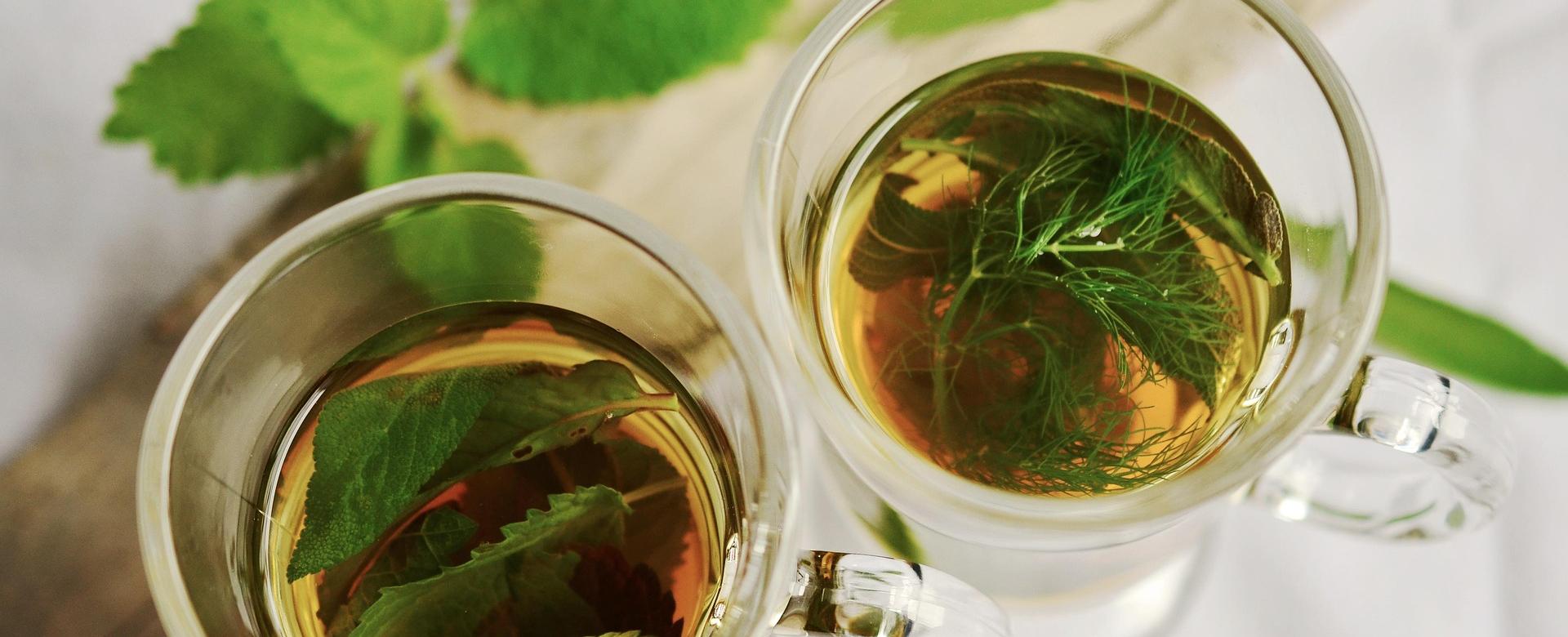 Drink World Store -Drink World Store herbal tea 1410565 1920